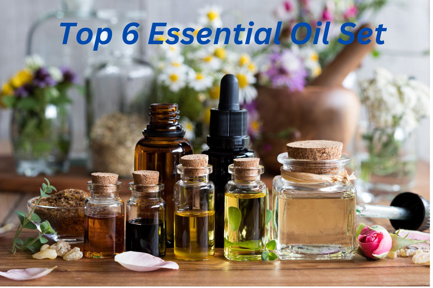 Top 6 Essential Oil Set 10ml (0.33 fl.oz)